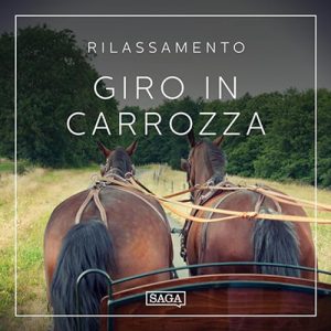 Rasmus Broe – Rilassamento꞉ Giro in carrozza (2023) (mp3 – 128 kbps)