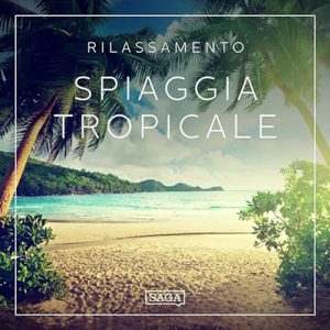 Rasmus Broe – Rilassamento꞉ Spiaggia tropicale (2023) (mp3 – 128 kbps)