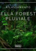 Rasmus Broe - Rilassamento꞉ Nella foresta pluviale (2023) (mp3 - 128 kbps)