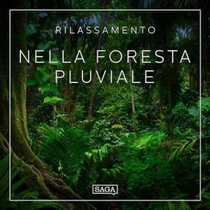 Rasmus Broe – Rilassamento꞉ Nella foresta pluviale (2023) (mp3 – 128 kbps)
