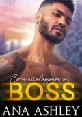 Ana Ashley - Chester Falls. Novella. Come accalappiare un boss (2023)