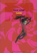 David Maine - Caduto (2007)