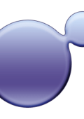 NXPowerLite Desktop 10.2 64 Bit - Eng