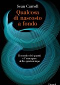 Sean Carroll - Qualcosa di nascosto a fondo (2020)