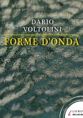Dario Voltolini - Forme d'onda (2013)