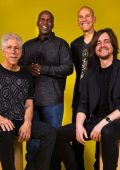 Yellowjackets - Discografia (1981-2018) .Flac