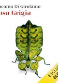 Giacomo Di Girolamo - Cosa grigia (2024) (mp3 - 128 kbps)
