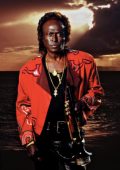 Miles Davis - The Album Collection (Remastered) (2024) APE lossless