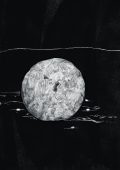 Pettersson - Ashen Plain (2024)