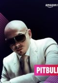 Pitbull - Discografia (2004-2022) .Flac