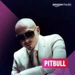 img Pitbull - Discografia (2004-2022) .Flac