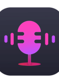 Viwizard Audio Capture 2.5.0.18 - ENG