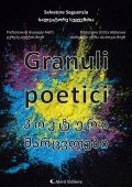 Salvatore Seguenzia - Granuli poetici (2024)