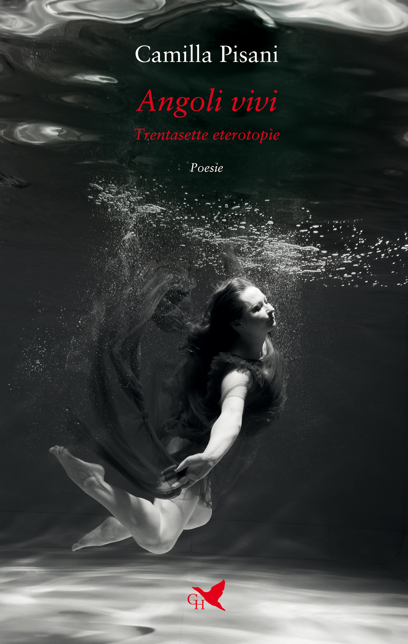 Camilla Pisani – Angoli vivi (2024)