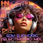 img VA - Best Of EDM Euphoric Mix (2024)