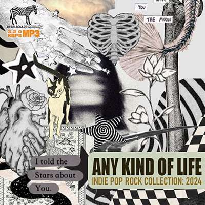 VA – Any Kind Of Life (2024)