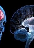 Udemy - I segreti per influenzare l'essere umano (Ipnosi e cervello) - ITA