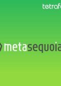 Tetraface IncTetraface Inc Metasequoia 4.8.7 - ENG