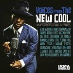 img Voices from the New Cool (2013) .mp3 - 320 kbps