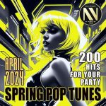 img VA - Spring Pop Tunes (2024)