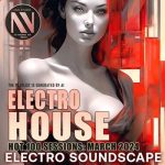 img VA - Electro House Soundscape (2024)