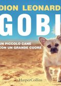 Dion Leonard - Gobi (2024) (mp3 - 128 kbps)