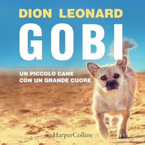 Dion Leonard – Gobi (2024) (mp3 – 128 kbps)