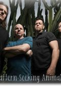 Pattern-Seeking Animals - Discography: 4 Albums (2019-2023) FLAC