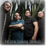 img Pattern-Seeking Animals - Discography: 4 Albums (2019-2023) FLAC