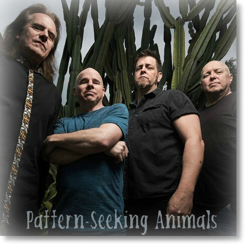 Pattern-Seeking Animals – Discography: 4 Albums (2019-2023) FLAC