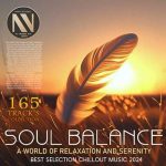 img VA - Soul Balance (2024)