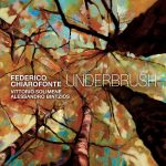 img Federico Chiarofonte, Vittorio Solimene & Alessandro Bintzios - Underbrush (2024) [MP3 320/