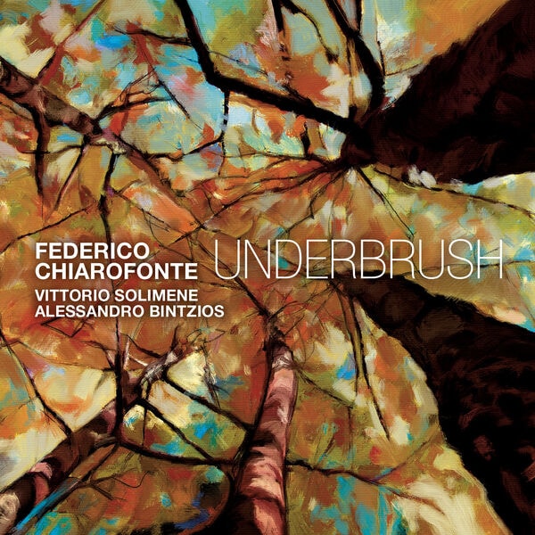 Federico Chiarofonte, Vittorio Solimene & Alessandro Bintzios – Underbrush (2024) [MP3 320/Flac 24-48]