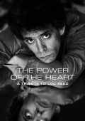 The Power of the Heart: A Tribute to Lou Reed (2024) .mp3 - 320 kbps / FLAC - 24Bit/96kHz