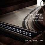 img Rautio Piano Trio - Beethoven Piano Trios Op. 1 No. 3 Op. 11 & Op. 44 (2024) [24Bit-96kHz] 