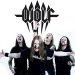 img Wolf - Studio Albums (9 releases) (2000-2022) [restored, declipped] FLAC |16/44.1