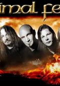 Primal Fear - Studio Albums (18 releases) (1998-2023) [restored, declipped] FLAC |16/44.1