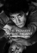 Various Artists - The Power of the Heart: A Tribute to Lou Reed (2024) FLAC