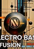 VA - Electro Bass Infusion (2024)
