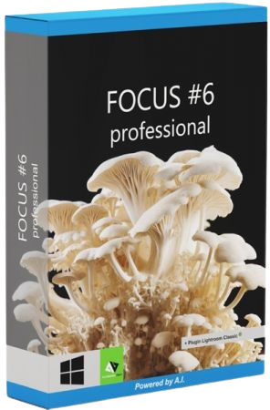 [PORTABLE] Franzis FOCUS #6 professional 6.13.04017 64 Bit – ENG