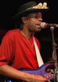 Bernard Allison - Discografia (1990-2024) FLAC