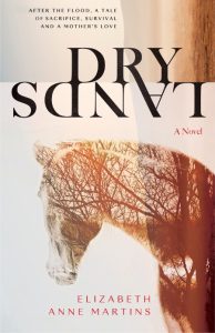 Dry Lands – Elizabeth Anne Martins