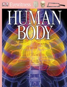 Eyewitness Human Body – DK