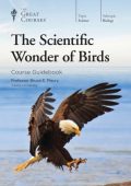 Wonders in the Sun, Or, the Kingdom of the Birds; A Comick Opera. with Great Variety of Songs in All Kinds, Set to Musick by Several of the Most Eminent Masters of the Age. Written by Mr. D'Urfey. - Thomas D'Urfey