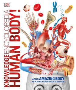 Human Body! – DK