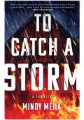 Mindy Mejia - To Catch a Storm