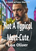 Not A Typical Meet-Cute - Lisa Oliver