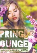 VA - Spring Lounge 2024 - Sounds Like Sunshine (2024) FLAC