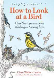 How to Look at a Bird: Open Your Eyes to the Joy of Watching and Knowing Birds – Clare Walker Leslie