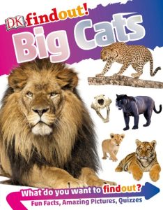 Julia Mills – The Princess (Big Cat Pride, #2)